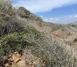 land, for sale, En El Bergantin, Pampatar, Nueva Esparta, Isla de Margarita, 576 mt2 - Inmuebles Margarita - 2 MIL thumbnail 5