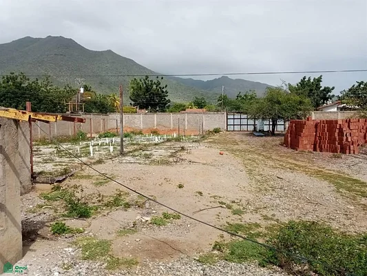 EL HATO LAND WITH PROJECT 10 SINGLE-FAMILY HOMES,GUACUCO,MARGARITA - Conuco Alto ; sabana de Guacuco Terreno El hato Guacuco c, 6311 La Asuncion - Plot of land for sale - Image 2