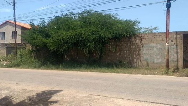land for sale, Maneiro, sector El Hato, Nueva Esparta