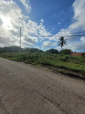 land for sale in Sector Bajos El Agua, Antolín del Campo, La Plaza de Paraguachí, Nueva Esparta - Image 2