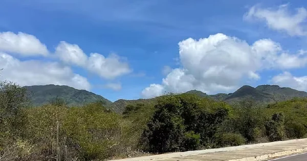 land in Pedro Gonzalez near the beach, Margarita Island - Principal La Cerca, 6301 Gomez - Plot of land for sale