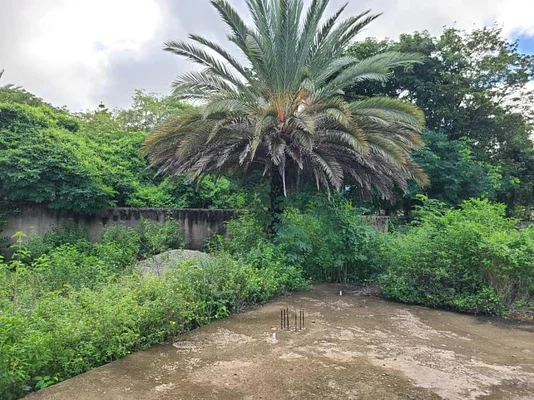 Beautiful land at the foot of Guayamury