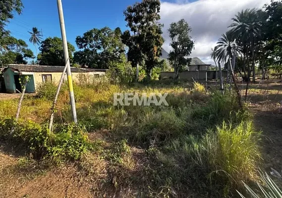 Private backyard garden