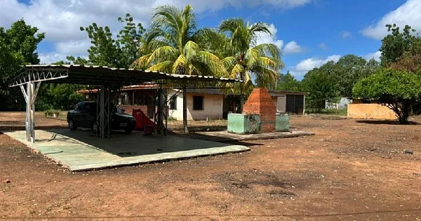 Farm for sale with a house of platabanda, sector los dulces palito blanco - Granja Carretera Palito Blanco, sector los dulces, Sin numero, 4001 Maracaibo - 3 beds commercial premises for sale
