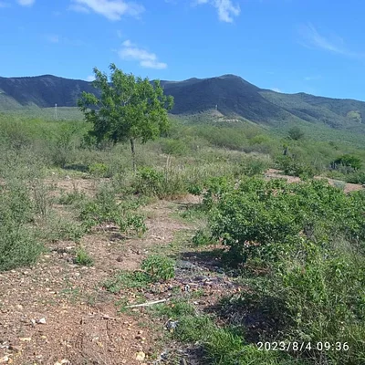 land Las Barrancas