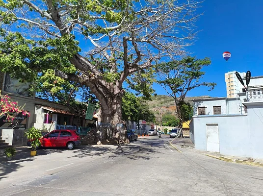 house Antique, for sale, In Pampatar, Nueva Esparta, Isla de Margarita, 190 mt2, 2 bedrooms and 1 bathroom - Inmuebles Margarita - 2 MIL - Image 9