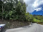 land (Commercial) for sale in San Antonio, Miranda thumbnail 3