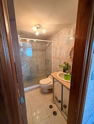 Luxury guest bathroom