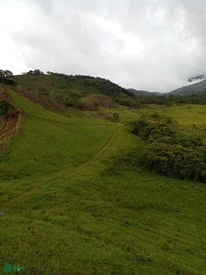 Welcome to "Los Sinares", the finca for SALE that has it all! - Cordero, Aldea Salomon, Pan de azucar Finca "Los S, 5012 Táchira - 1 bed plot of land for sale