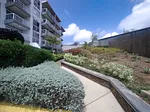 apartment, for rent, Urb Las Trinitarias ll, Pampatar, Nueva Esparta, Isla de Margarita, 73 mt2, 2 Hab y 2 bathrooms - Inmuebles Margarita - 2 MIL thumbnail 1