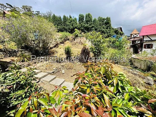 Side yard with landscaping