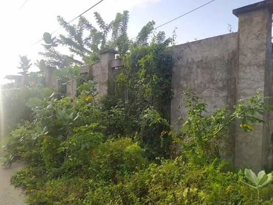 land in El Tirano - TEV190386