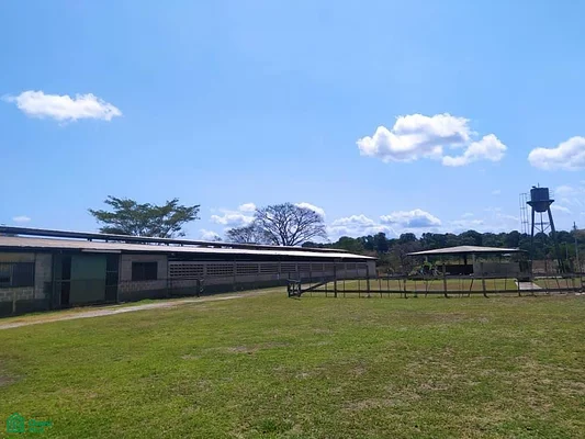 Finca in Valles del Tuy of 6.45 hectares, ideal for breeding TC horses - Altos de Soapire Santa Teresa, 1215 Santa Lucía - Apartment for sale