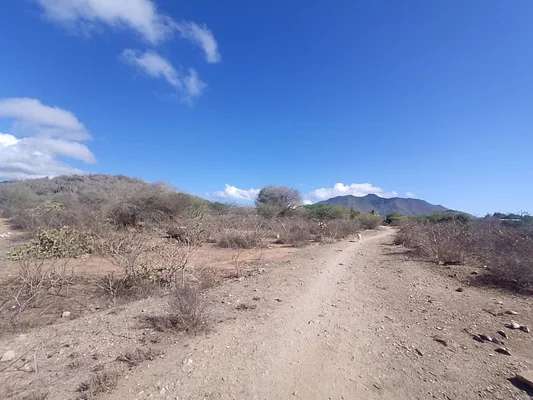 land, for sale, In Caserio Ruiz, Los Chacos, Nueva Esparta, Isla de Margarita, 6500,46 mt2 - Inmuebles Margarita - 2 MIL