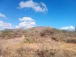 land, for sale, In Caserio Ruiz, Los Chacos, Nueva Esparta, Isla de Margarita, 6500,46 mt2 - Inmuebles Margarita - 2 MIL thumbnail 3