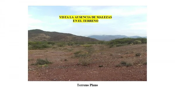 PLOT OF land IN PLAYA CARIBE, Isla de Margarita - TEV238845