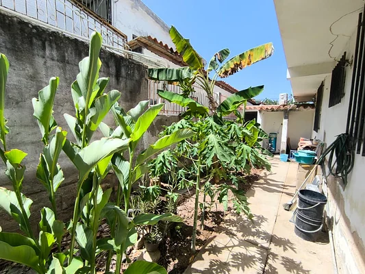 house, for sale, residential development Jorge Coll, Isla De Margarita, 560 mt2, 6 bedrooms and 3 bathrooms - Inmuebles Margarita - 2 MIL - Image 3
