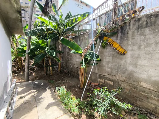 house, for sale, residential development Jorge Coll, Isla De Margarita, 560 mt2, 6 bedrooms and 3 bathrooms - Inmuebles Margarita - 2 MIL - Image 4