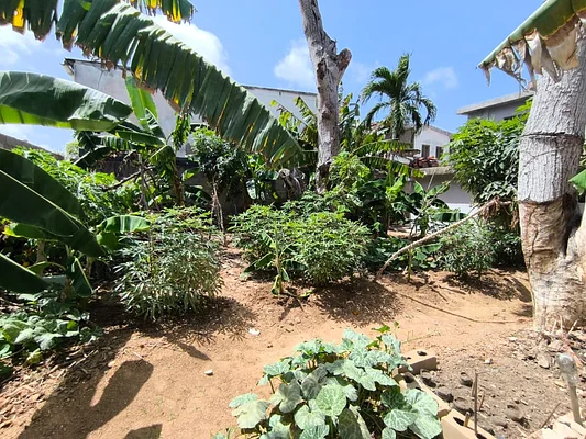 house, for sale, residential development Jorge Coll, Isla De Margarita, 560 mt2, 6 bedrooms and 3 bathrooms - Inmuebles Margarita - 2 MIL - Image 5