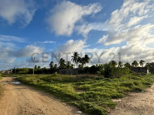 Sale of land in Chichiriviche, Iturriza, Chichiriviche, Falcón - Image 2