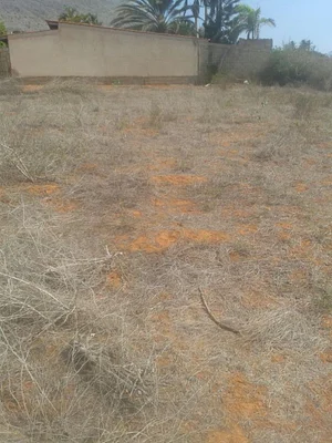Selling land in La Asunción