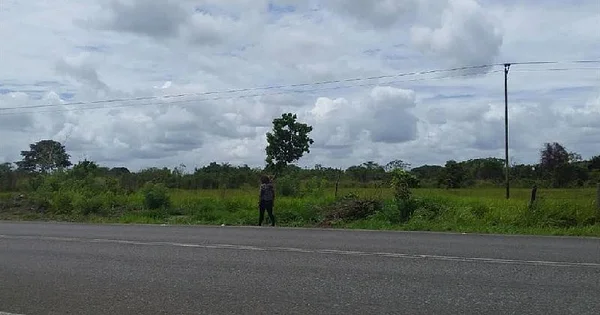 I sell land in the Parare sector - Carretera Nacional Sector Parare, 6201 Maturin - Plot of land for sale