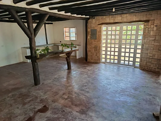 Backyard patio and lawn