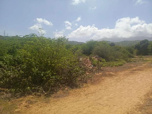 land in Los Robles