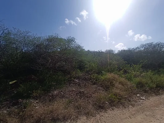 2 Plots of land, for sale, In Los Robles, Sector Los Chacos, Nueva Esparta, Isla de Margarita, 1591,71 MT2 - Inmuebles Margarita - 2 MIL - Image 4