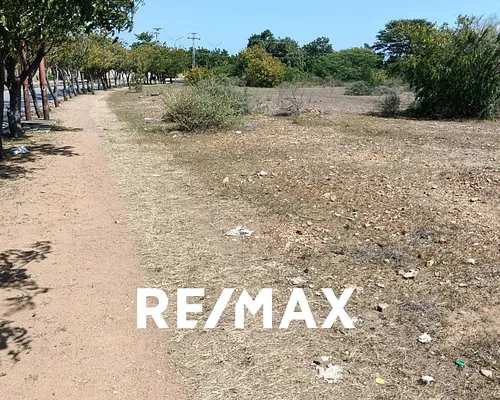 land, for sale, On Av Juan de Castellanos, Juan Griego, Nueva Esparta, Isla de Margarita, 13.162 MT2 - Inmuebles Margarita - 2 MIL - Image 6