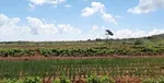 land with tourist zoning in YAQUE thumbnail 2