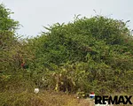 land, for sale, En El Tirano, Detras de SunSol, Nueva Esparta, Isla de Margarita, 4414 mt2 - Inmuebles Margarita - 2 MIL thumbnail 5