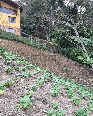 Sale of land in San Diego de Los Altos, Guaicaipuro, San Diego de Los Altos, Miranda