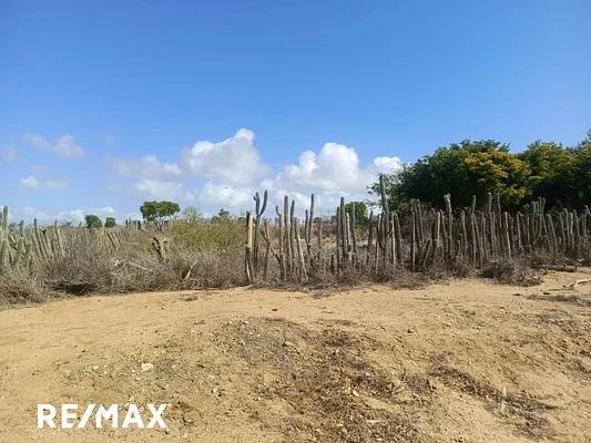land, for sale, In Lomas de El Yaque, Nueva Esparta, Isla de Margarita, 1000 MT2 - Inmuebles Margarita - 2 MIL - Image 6