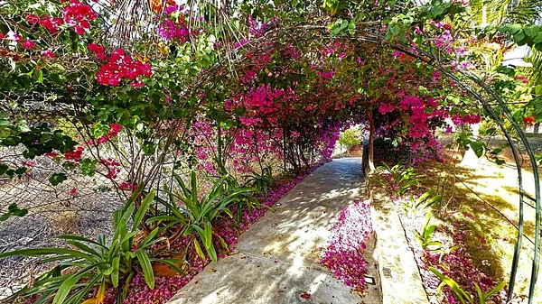 Front entry walkway