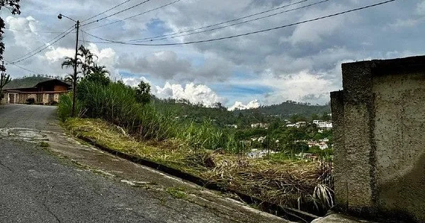 Land for sale 1200m2 all services Urb Pan de azúcar Carrizal - principal Terreno en venta 1200m2 t, 1203 Guaicaipuro - Plot of land for sale