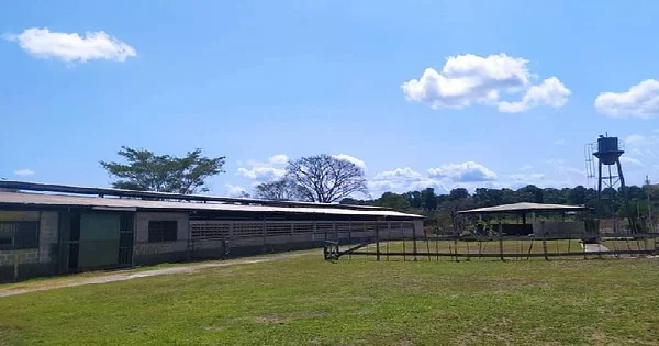 Finca in Valles del Tuy of 6.45 hectares, ideal for breeding TC horses - Altos de Soapire Santa Teresa, 1215 Santa Lucía - Plot of land for sale