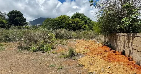 Margarita Island, Land in the Playa el Agua Sector, Aricagua - 44JJ+M7, 6324 Antolin del Campo - Plot of land for sale
