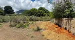Margarita Island, Land in the Playa el Agua Sector, Aricagua - 44JJ+M7, 6324 Antolin del Campo - Plot of land for sale thumbnail 1