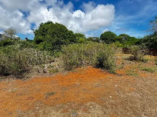 Open field landscape view