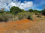Margarita Island, Land in the Playa el Agua Sector, Aricagua - 44JJ+M7, 6324 Antolin del Campo - Plot of land for sale thumbnail 2