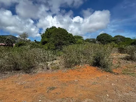 Natural terrain and vegetation