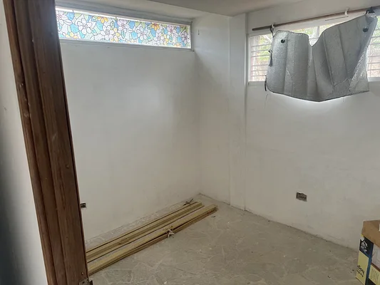 Walk-in shower and soaking tub