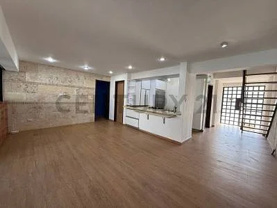 Luxury kitchen stainless appliances