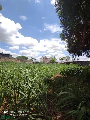 Land for sale. Airport Sector, Via La Pica. Maturin, Monagas, Venezuela - Av Jose tadeo Monagas, sector Las Cocuizas-via la Carrera 1 entre Calle 12, 6201 Maturin - Plot of land for sale