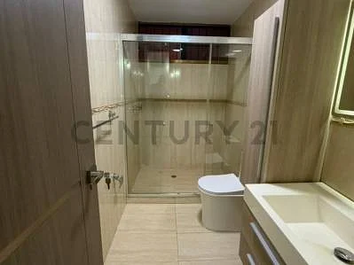 Bathroom shower and tub
