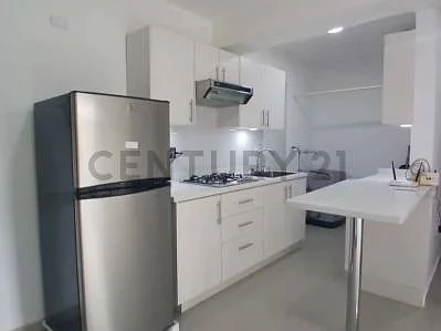 Kitchen counter and cabinets