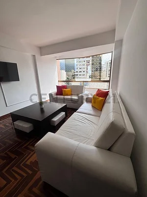 Bright living room with sofa