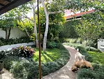 commercial space for rent in Pueblo de El Hatillo, El Hatillo, Caracas, Miranda thumbnail 3