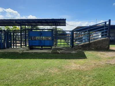 house for sale in Barrio Coro, Juan José Mora, Morón, Carabobo - Image 3